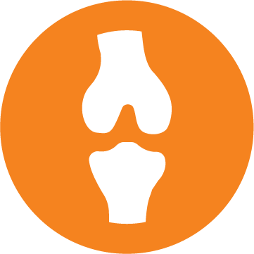 Pictogram ontwikkeling van de hersenen en ogen