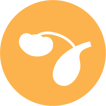 Pictogram ontwikkeling van de hersenen en ogen